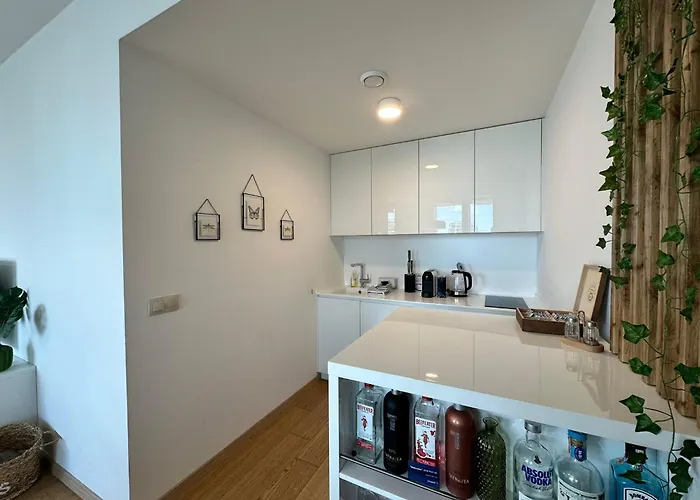 View From 27th Floor, Free Parking, Keyless 布拉迪斯拉发